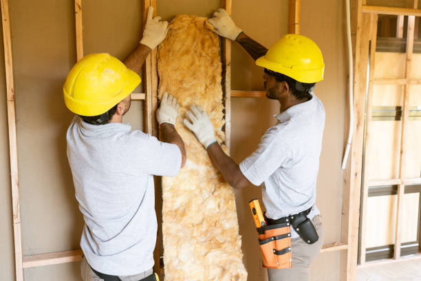 Best Insulation Air Sealing  in The Colony, TX