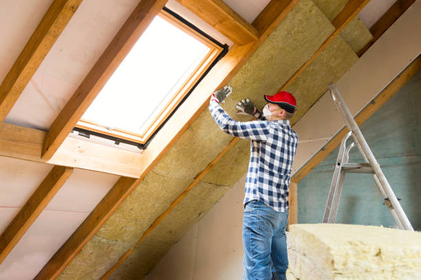 Eco-Friendly or Green Insulation Solutions in The Colony, TX