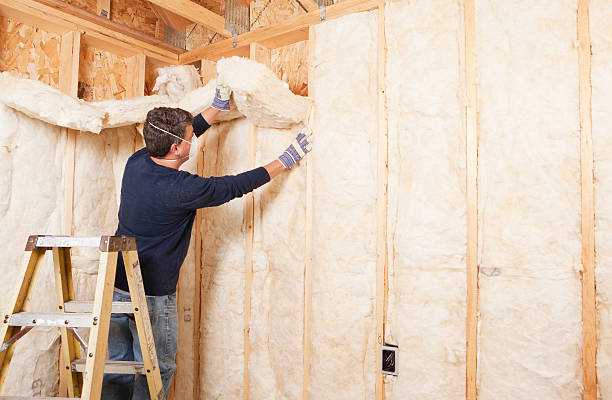 Best Garage Insulation  in The Colony, TX